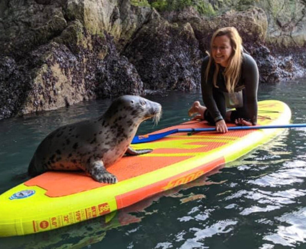 Paddleboarding with a seal