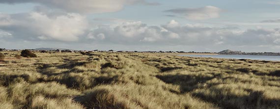 North Bull Island, Co Dublin Web Size